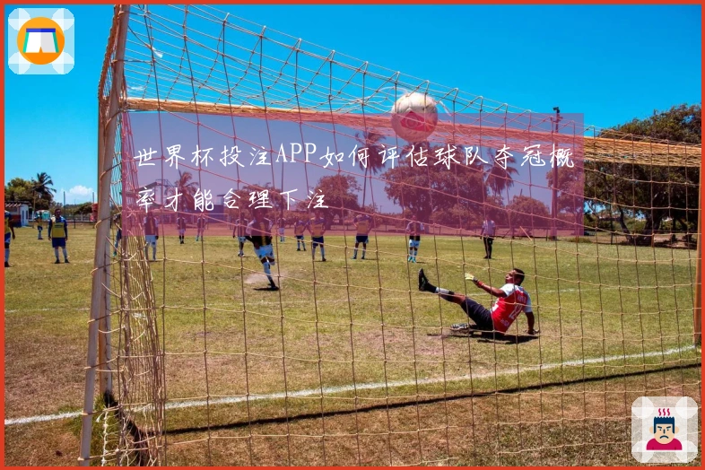 世界杯投注APP如何评估球队夺冠概率才能合理下注