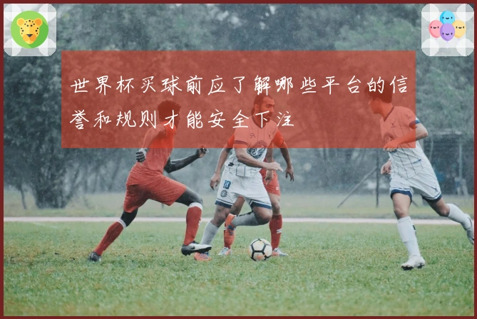 世界杯买球前应了解哪些平台的信誉和规则才能安全下注
