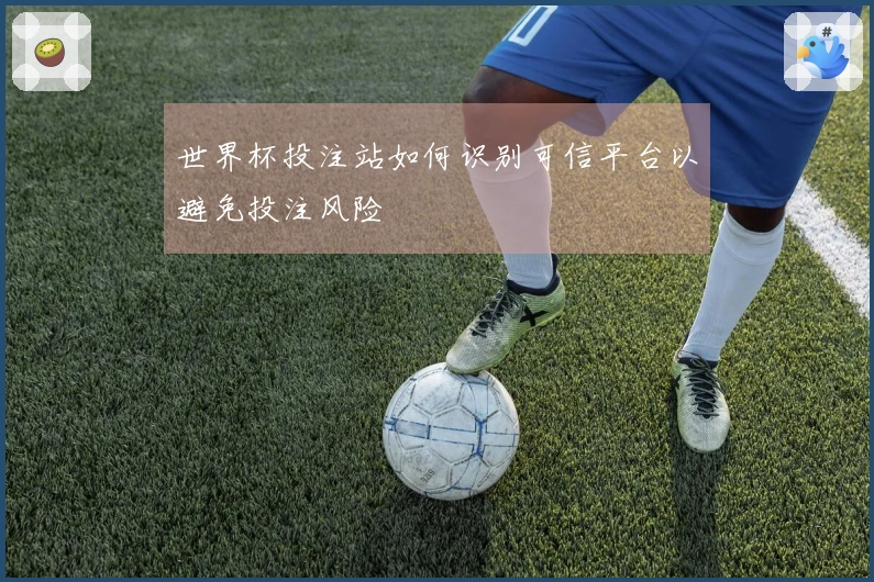 世界杯投注站如何识别可信平台以避免投注风险