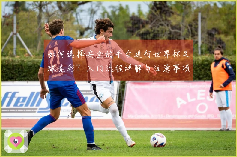 如何选择安全的平台进行世界杯足球竞彩？入门流程详解与注意事项