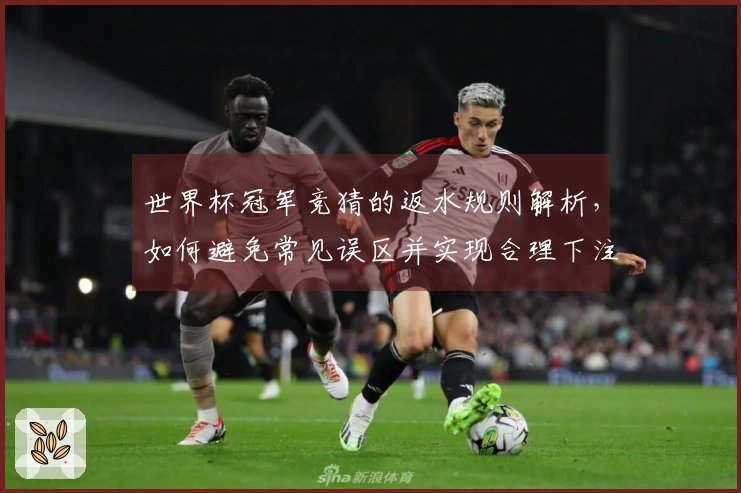 世界杯冠军竞猜的返水规则解析，如何避免常见误区并实现合理下注？
