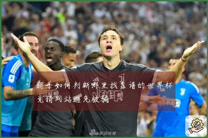 新手如何判断哪里找靠谱的世界杯竞猜网站避免被骗
