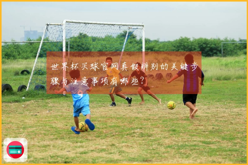 世界杯买球官网真假辨别的关键步骤与注意事项有哪些？