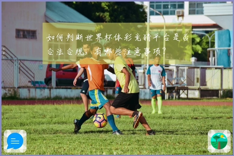 如何判断世界杯体彩竞猜平台是否合法合规，有哪些注意事项？