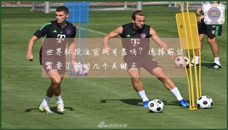 世界杯投注官网可靠吗？选择前你需要了解的几个关键点