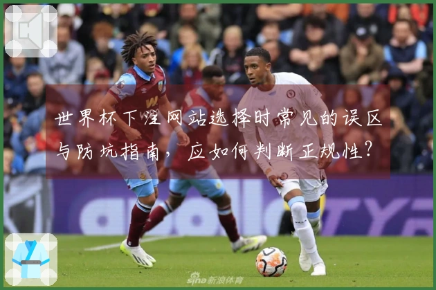 世界杯下注网站选择时常见的误区与防坑指南，应如何判断正规性？