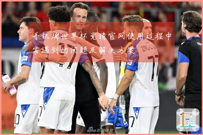 手机端世界杯竞猜官网使用过程中常遇到的问题及解决方案