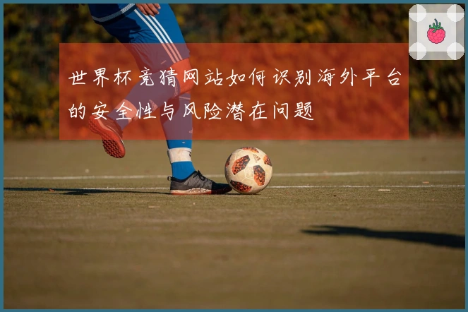 世界杯竞猜网站如何识别海外平台的安全性与风险潜在问题