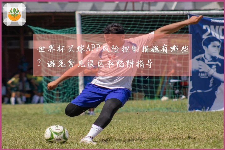世界杯买球APP风险控制措施有哪些？避免常见误区和陷阱指导