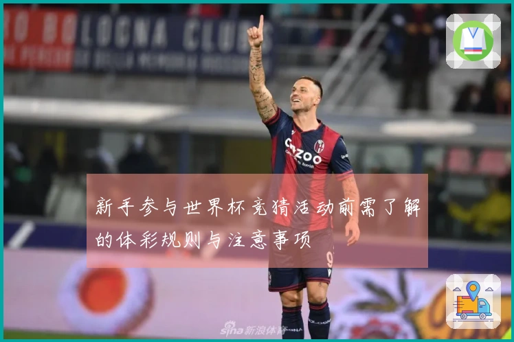 新手参与世界杯竞猜活动前需了解的体彩规则与注意事项