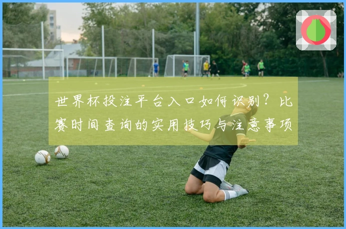 世界杯投注平台入口如何识别？比赛时间查询的实用技巧与注意事项