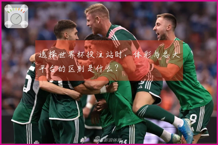选择世界杯投注站时，体彩与各大平台的区别是什么？
