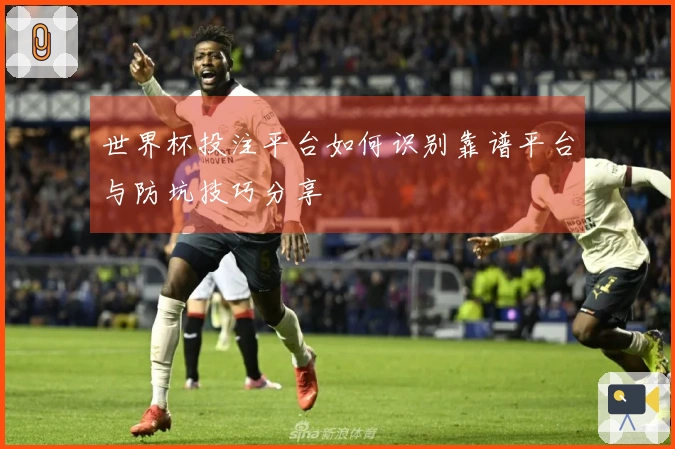 世界杯投注平台如何识别靠谱平台与防坑技巧分享