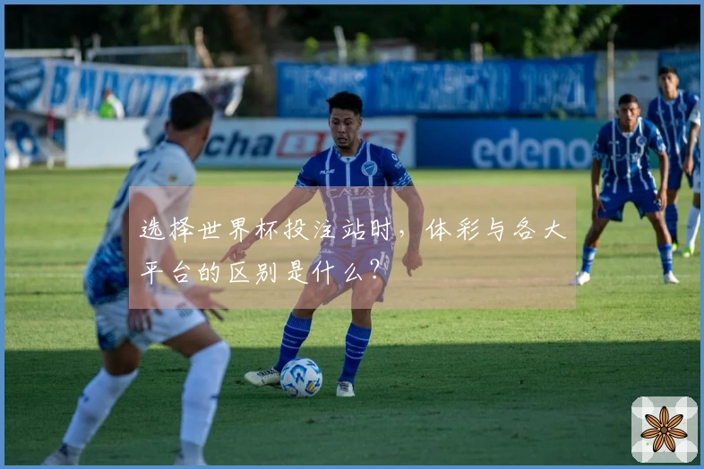 选择世界杯投注站时，体彩与各大平台的区别是什么？
