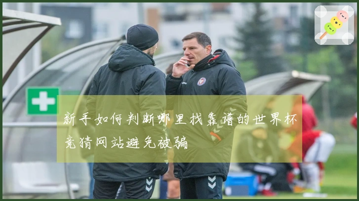 新手如何判断哪里找靠谱的世界杯竞猜网站避免被骗