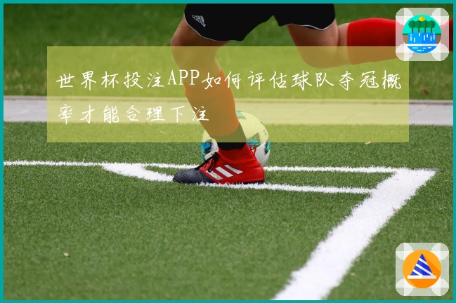 世界杯投注APP如何评估球队夺冠概率才能合理下注
