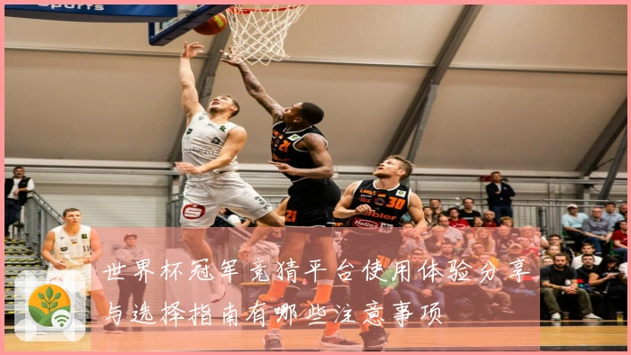 世界杯冠军竞猜平台使用体验分享与选择指南有哪些注意事项