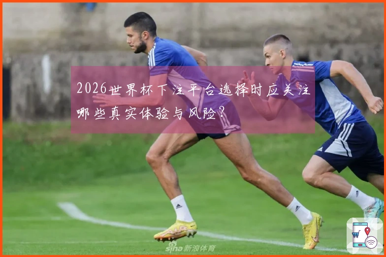 2026世界杯下注平台选择时应关注哪些真实体验与风险？