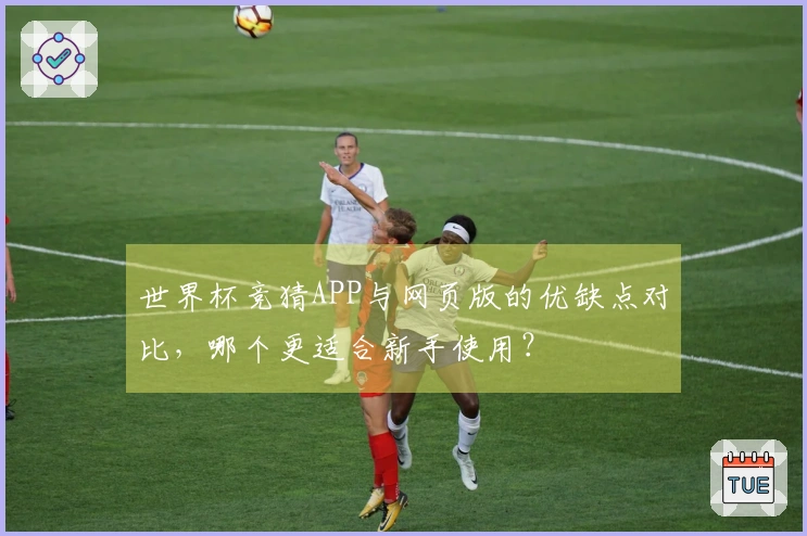 世界杯竞猜APP与网页版的优缺点对比，哪个更适合新手使用？