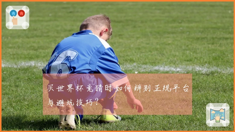 买世界杯竞猜时如何辨别正规平台与避坑技巧？
