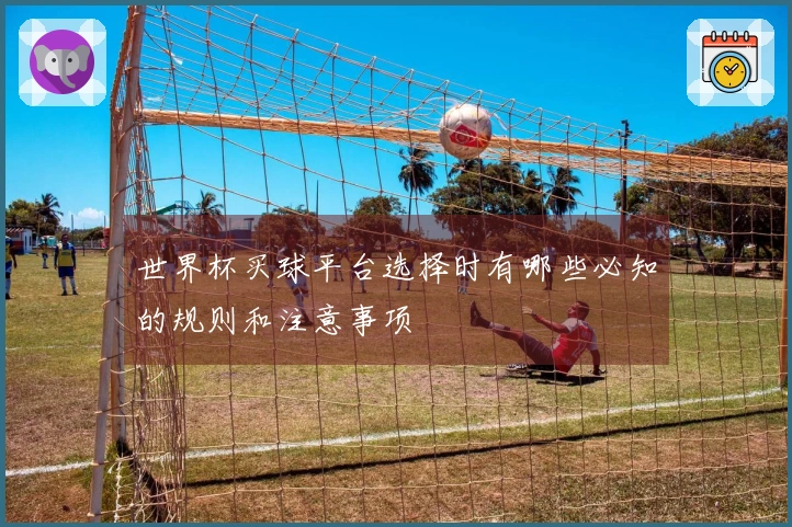 世界杯买球平台选择时有哪些必知的规则和注意事项