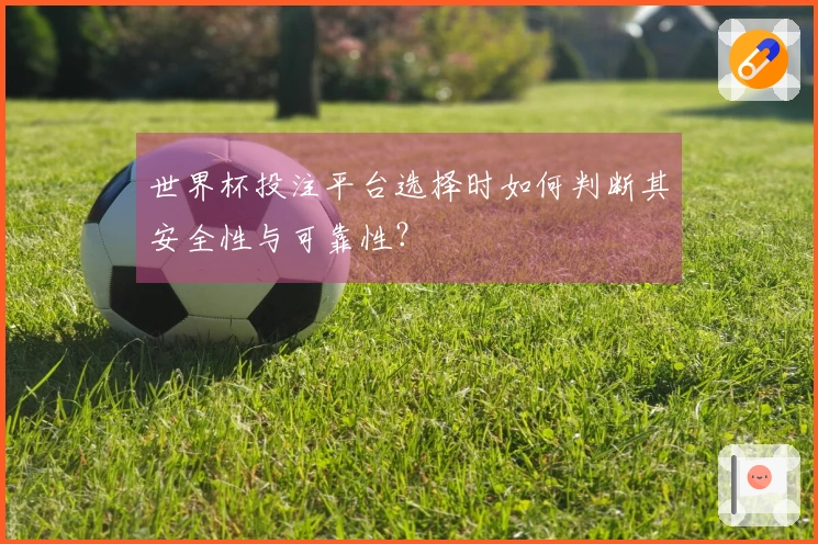 世界杯投注平台选择时如何判断其安全性与可靠性？