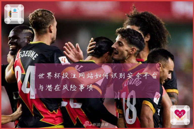 世界杯投注网站如何识别安全平台与潜在风险事项