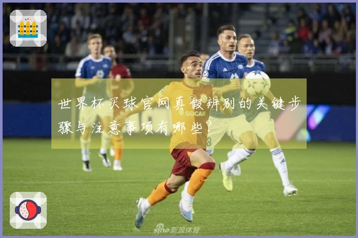 世界杯买球官网真假辨别的关键步骤与注意事项有哪些？
